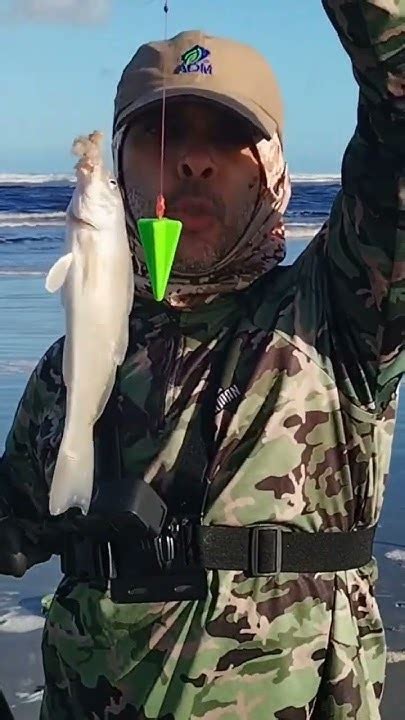 Perna de moça (Betara) fisgada na B. do Una com minha filha #fishing # ...