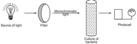 Measurement Of Bacterial Growth Solution Parmacy