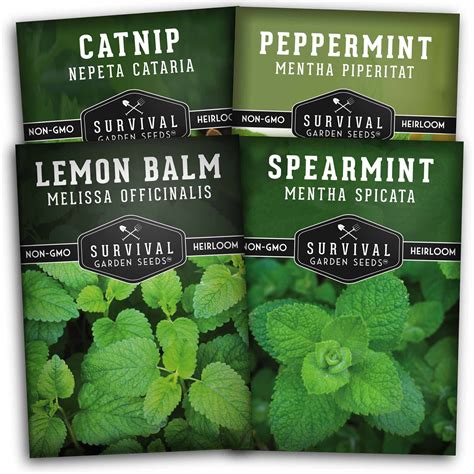 Survival Garden Seeds 4 Mint Collection Seed Peppermint Spearmint