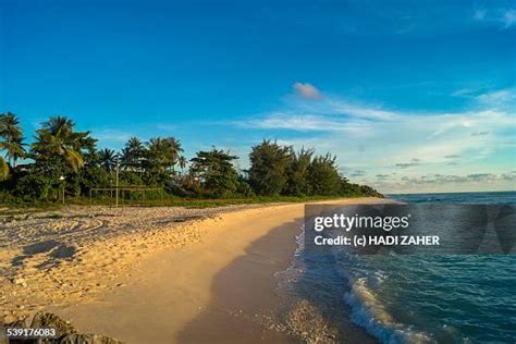 110 Nauru Beach Stock Photos, High-Res Pictures, and Images - Getty Images