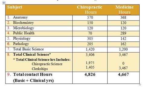 Chiropractic Chiropractic Requirements