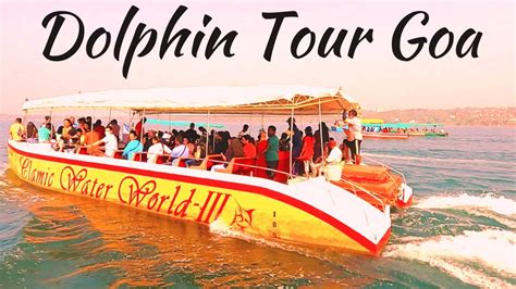 Dolphin Tour Goa Panaji Dolphin Boat In Miramar Beach Goa Vlog