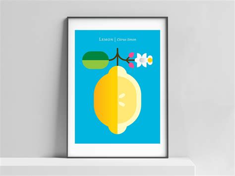 Lemon Modern Art Print for the Home Office Kids Room. - Etsy