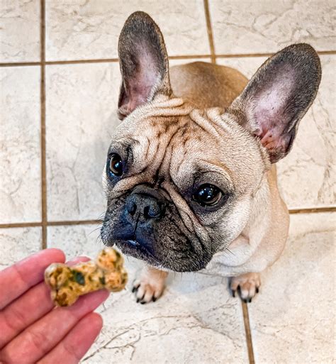 Salmon and Spinach Dog Treats | Peace, Love, and Frenchie Farts