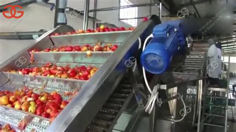 Tomato Paste Production Line Tomato Sauce Processing Plant Tomato Paste