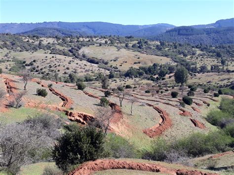 Son Necesarias Las Soluciones Basadas En La Naturaleza Eh