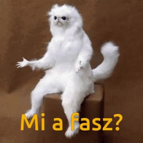 Mi A Fasz Fasz Mi A Fasz Fasz Discover Share GIFs