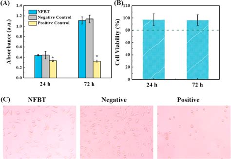 Cytotoxicity Results For Nfbt A Uv Absorbance From Cck 8 Assay B