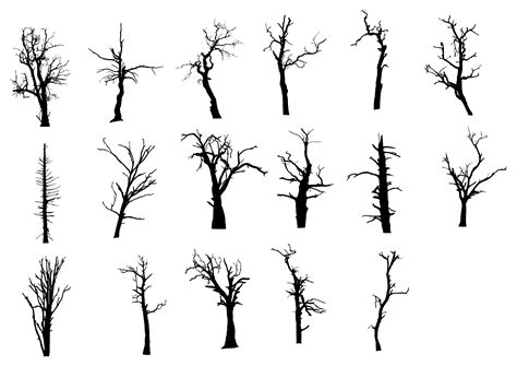 17 Dead Tree Silhouette (PNG Transparent) | OnlyGFX.com