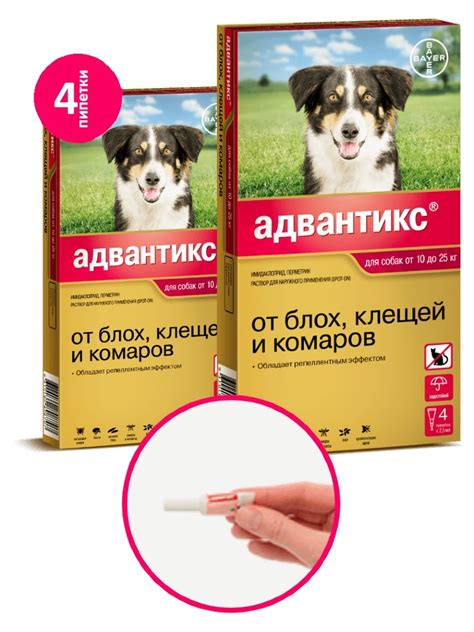 Больфо для собак: показания и инструкция по применению, отзывы, цена