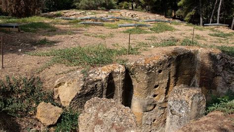 Domenica Ingresso Gratuito Alla Valle Dei Templi E Al Museo Griffo