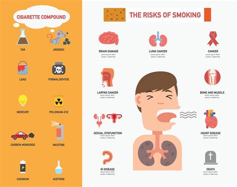 The Risk Of Smoking Infographicsillustration 3239758 Vector Art At Vecteezy