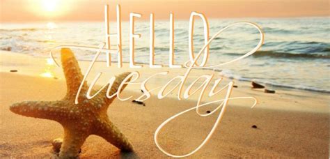 Happy Tuesday Coastal Lovers ~ Happy Day Quotes Happy Friday Quotes