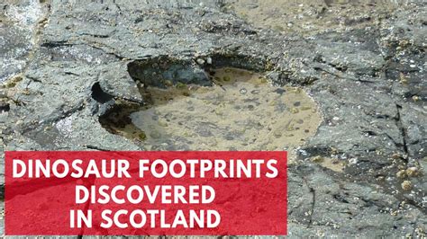 Dinosaur Footprints Found On Scottish Island Of Skye Youtube