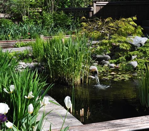 A Serene Garden Retreat with Three Playful Dogs