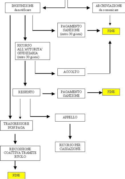 Ed Il Procedimento Sanzionatorio