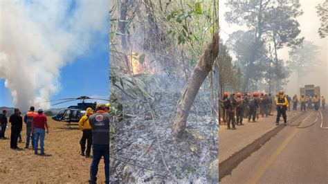 Siguen Activos Incendios Forestales En Veracruz Mira D Nde La