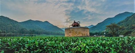 Чайный Пьяница 飲茶 酒鬼 Правильный Китайский Чай | Сообщество посвященное ...