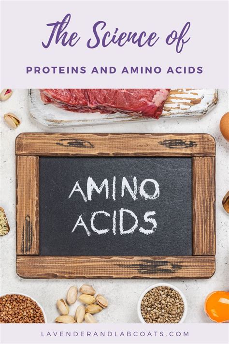 The Science of Proteins and Amino Acids