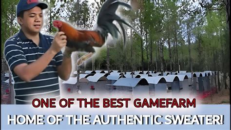 Let S Visit This Gamefarm One Of The Best Gamefarm Authentic Sweater