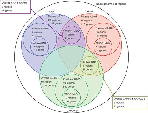 Venn Diagram Of Chromosomal Subregions Chromosomal Subregions Show Download Scientific Diagram