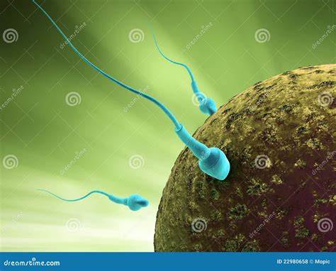 Human Sperm Cell On Microscope Scientific Background Natural Fertilization Stock Illustration