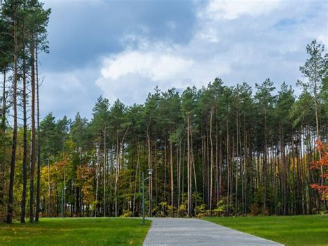 Ten park lubię nawet zimą Klimatyczne miejsce niecałą godzinę drogi z