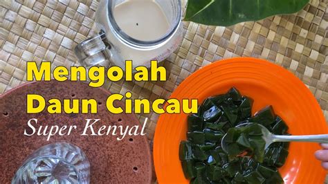 Cara Mengolah Daun Cincau Hasilkan Cincau Super Kenyal Campur Es