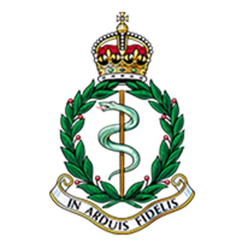 British Army Medical Services
