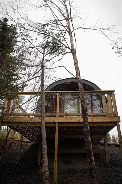 Book Now South Dildo Park Glamping Suites