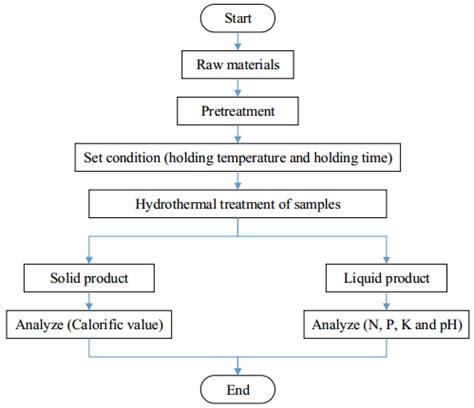 Hydrothermal treatment experimental flow chart | Download Scientific ...