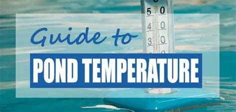 Pond Water Temperature Guide Best Pond Thermometers Pond Informer