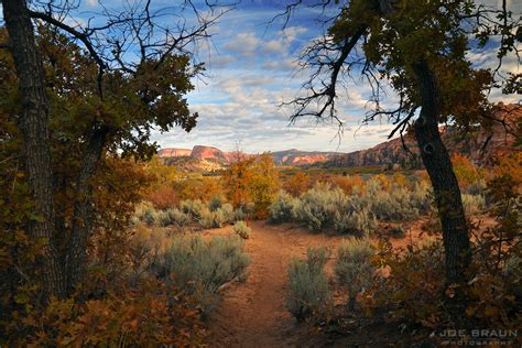 Hop Valley Trail Joes Guide To Zion National Park