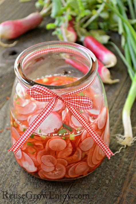 Pickled Radishes Recipe How To