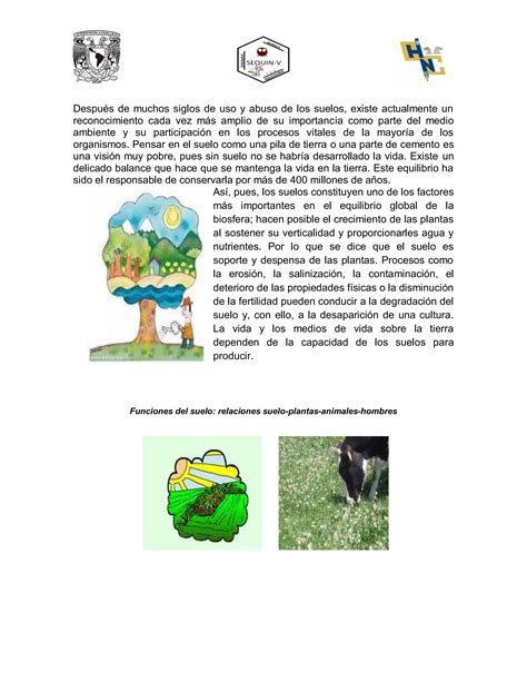 Lectura Importancia Del Suelo Pdf