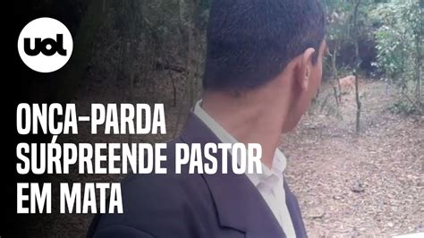 Pastor é surpreendido por onça parda durante pregação em Vinhedo SP