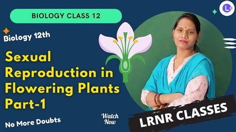 Cbse And Chse Board Class 12 Sexual Reproduction In Flowering Plants