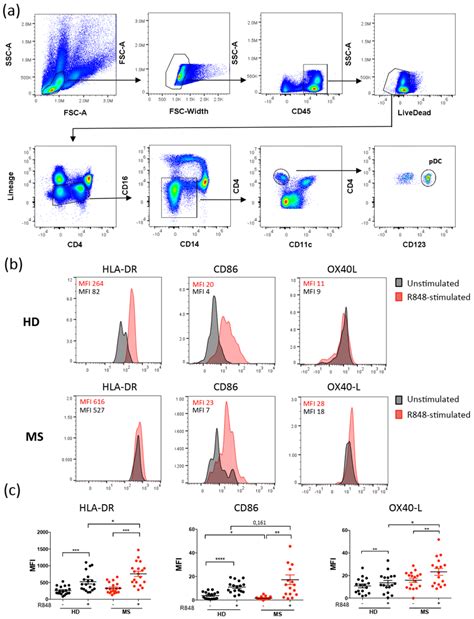 activation  plasmacytoid dendritic cells  increased  ms patients