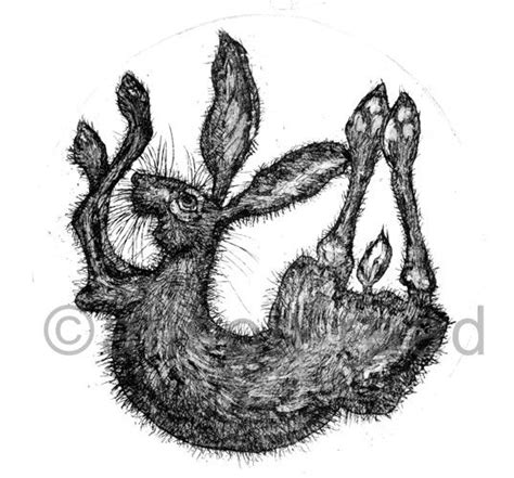 Jardine Gallery Alison Read Printmaker Etchings Rabbit Art