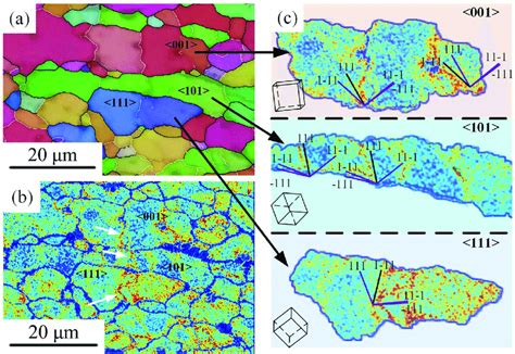 Enlarged Ipf Map Of The Microstructure Indicated By The Box In Fig 7c