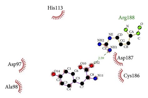 Ligplot Illustrates The Protein Ligand Interactions A It1t B Download Scientific Diagram