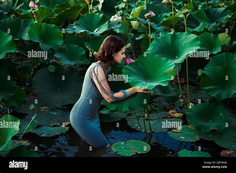 Beautiful Woman In A Pond With Lotus Stock Photo Alamy