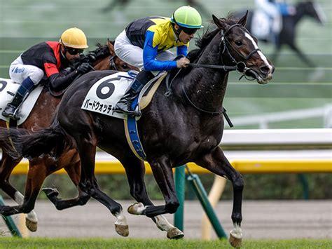 【東京5r新馬戦結果】アパパネの仔バードウォッチャーがデビューv！ 競馬ニュース Netkeiba