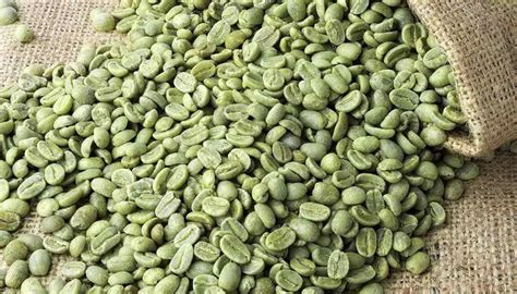 Полезен ли зеленый кофе — за и против | Raw coffee beans, Unroasted ...
