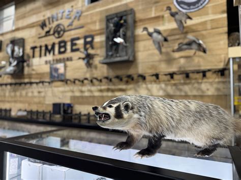 Winter Timber Outdoors: North Alabama’s One-Stop Shop for Hunting