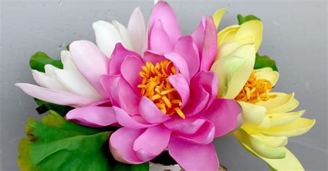 Три кита для счастья