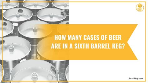 Guide To Beer Keg Sizes And Dimensions 53 Off