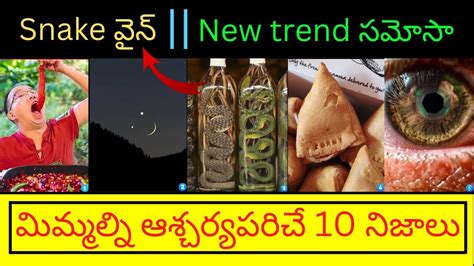 మీకు తెలియని 10 నిజాలు Top 10 Intresting Facts In Telugu Unknown