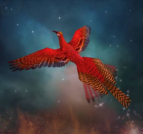 Phoenix Bird Stock Photos Pictures And Royalty Free Images Istock