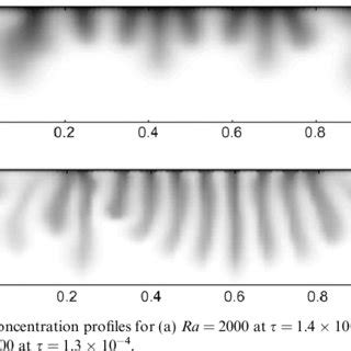 Concentration profiles for (a) Ra = 2000 at s = 1.4 Â 10 À3 and (b) Ra ...
